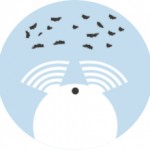 Logo Smart detect