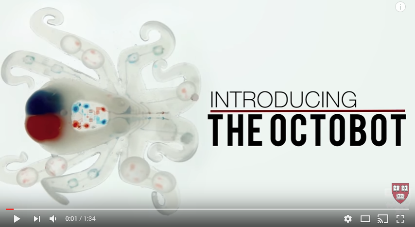 vidéo robot poulpe octobot