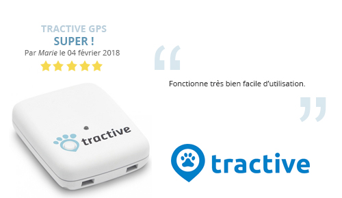 avis-marie-gps animaux compagnie tractive