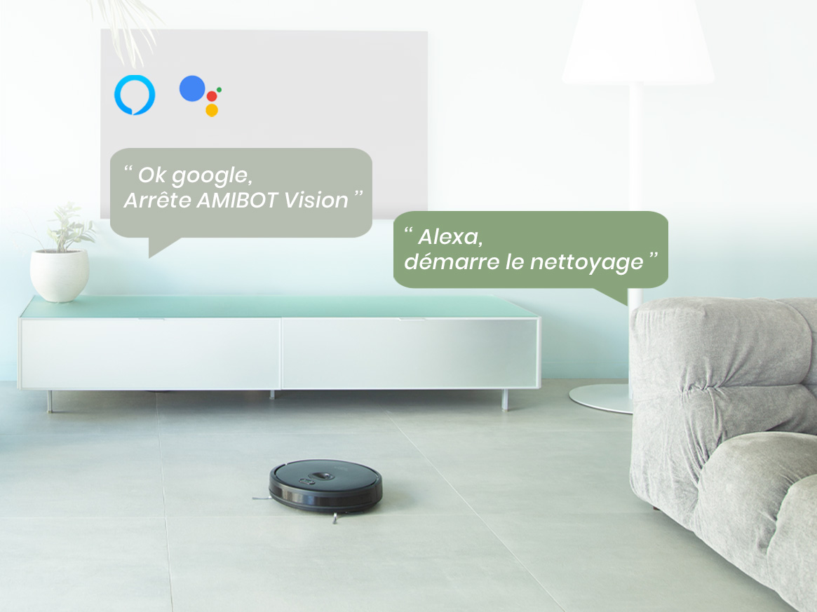 AMIBOT Vision Assistants vocaux Alexa Google
